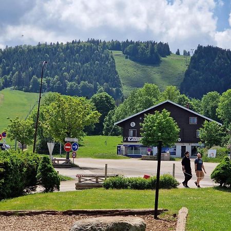 Place Royale Pour 10 A 12 Personnes A 30 Met Des Pistes De Ski Et Vtt Métabief Exteriér fotografie