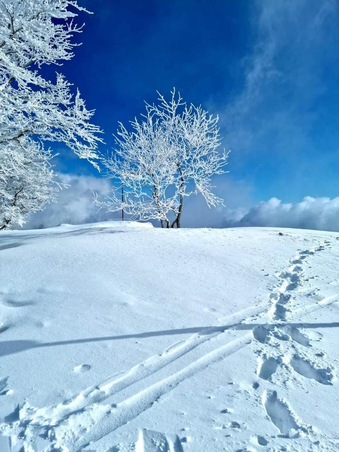 Place Royale Pour 10 A 12 Personnes A 30 Met Des Pistes De Ski Et Vtt Métabief Exteriér fotografie