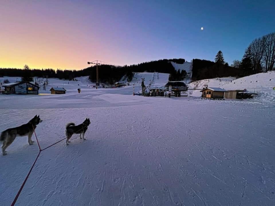 Place Royale Pour 10 A 12 Personnes A 30 Met Des Pistes De Ski Et Vtt Métabief Exteriér fotografie